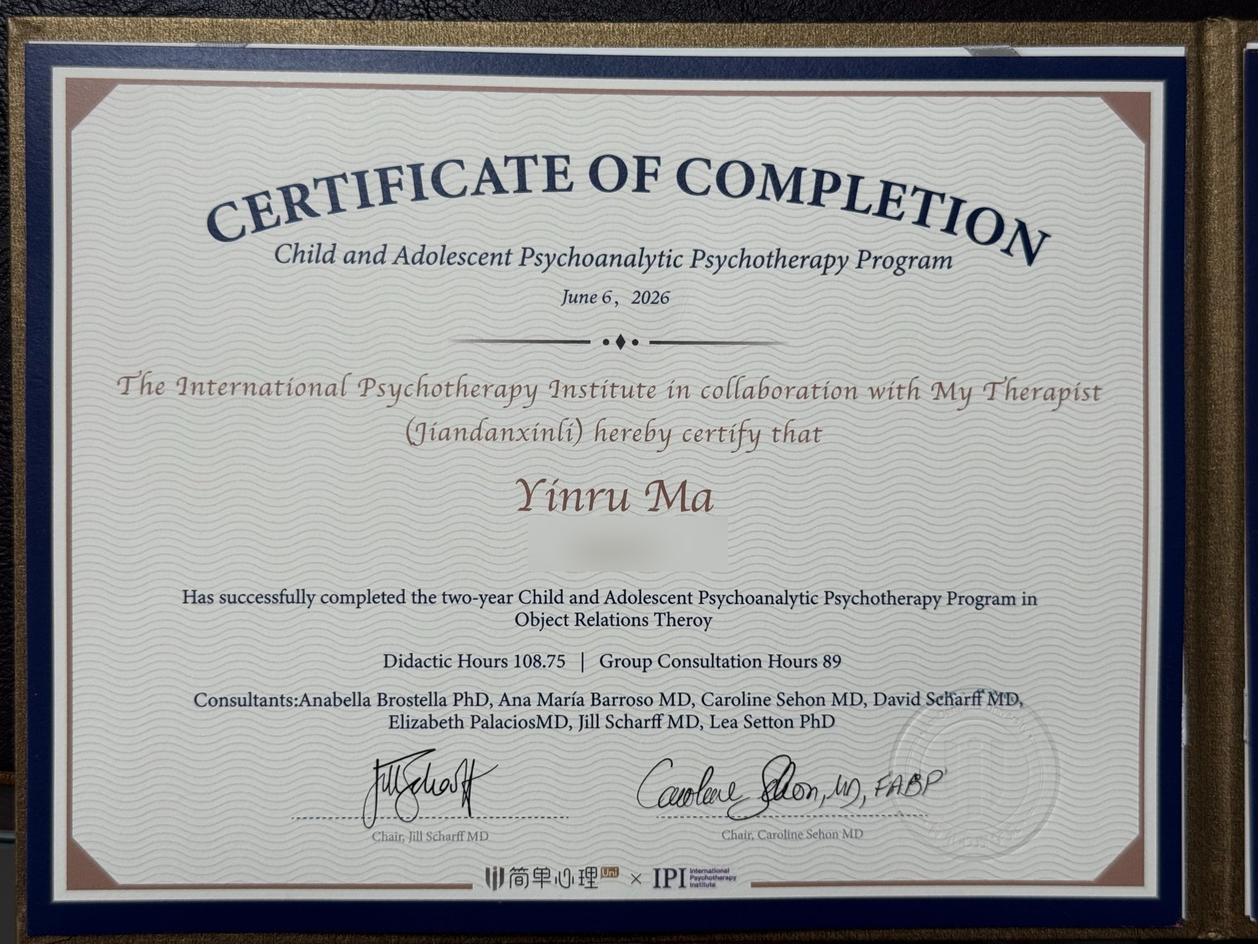 Child & Adolescent Psychoanalytic Psychotherapy Program